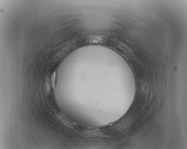 X0000080671442200612301348