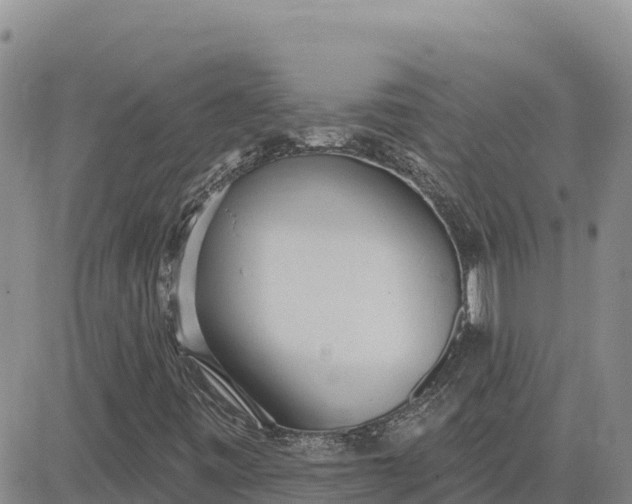 X0000080671443200612301348