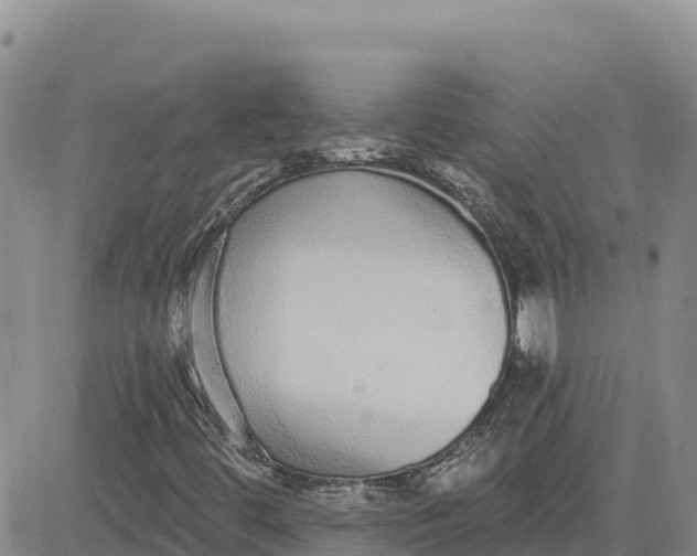 X0000080671444200612301348