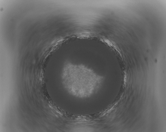 X0000080671445200612301348