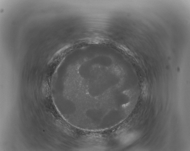 X0000080671446200612301348