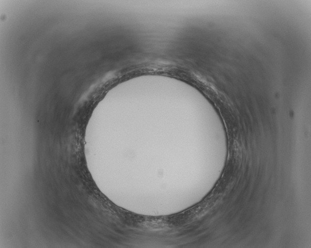 X0000080671447200612301348