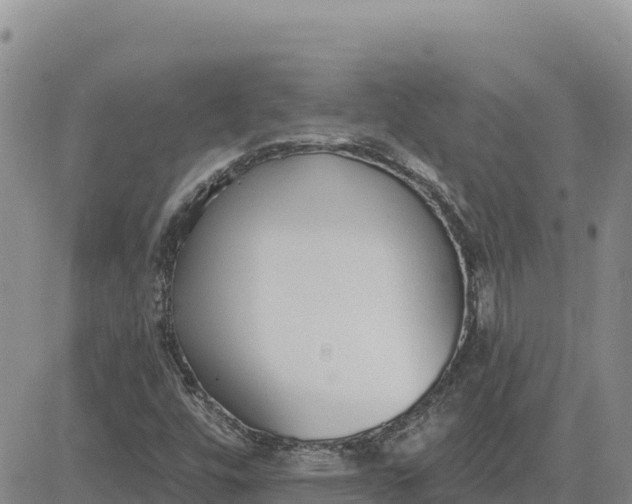 X0000080671448200612301348