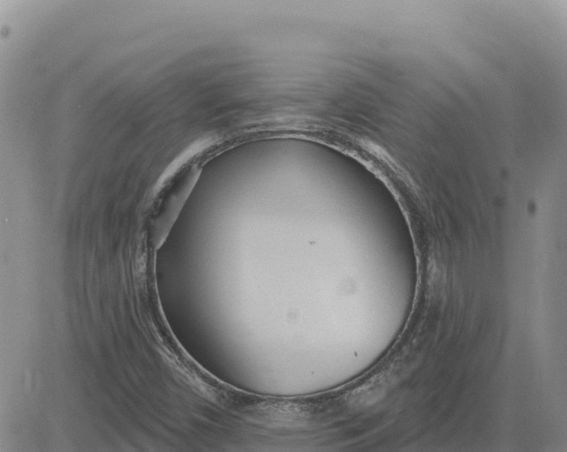 X0000080671450200612301348