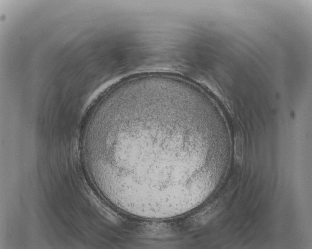 X0000080671452200612301348