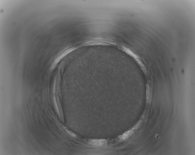 X0000080671453200612301348