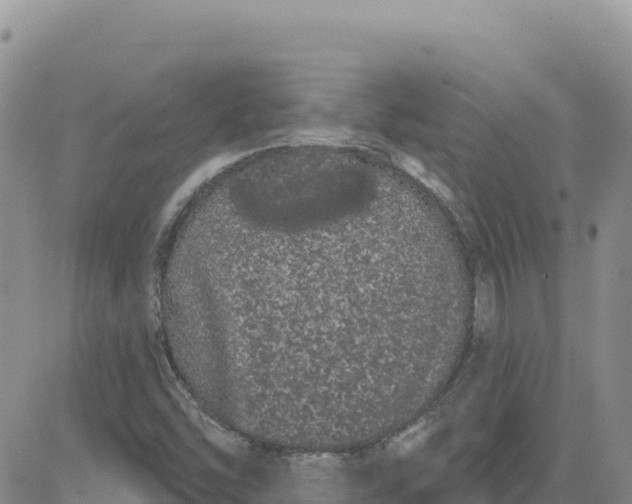 X0000080671454200612301348