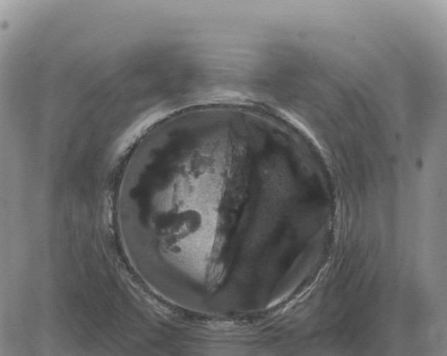 X0000080671455200612301348