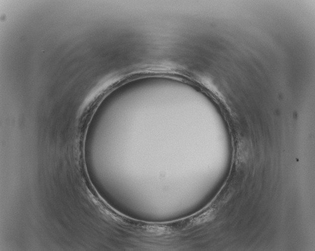 X0000080671456200612301348