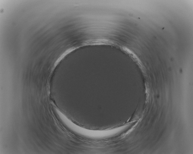 X0000080671457200612301348