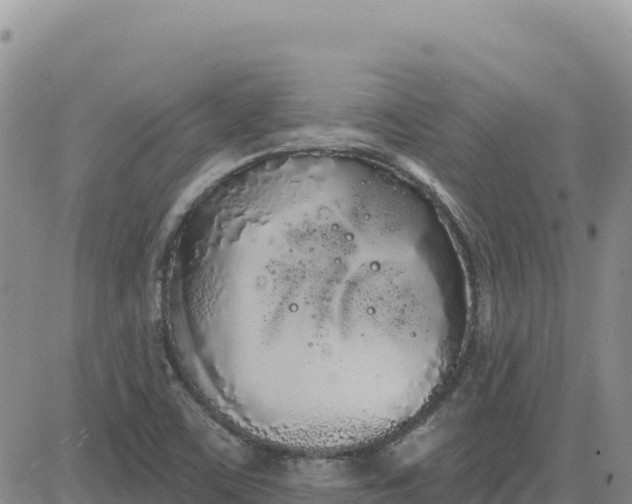 X0000080671459200612301348