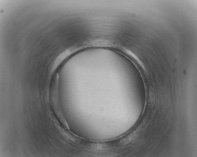 X0000080671461200612301348