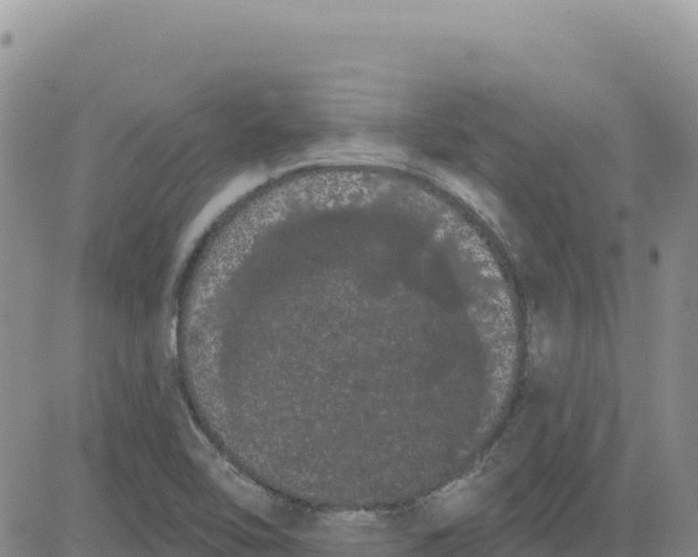 X0000080671462200612301348