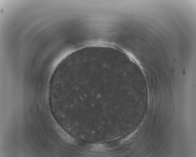 X0000080671463200612301348