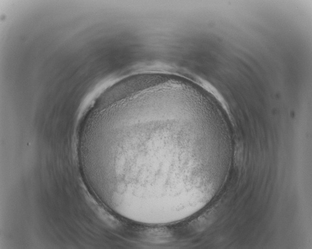 X0000080671464200612301348