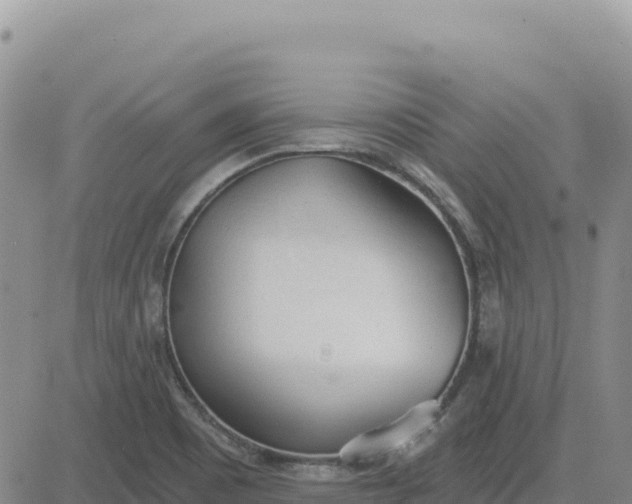 X0000080671465200612301348