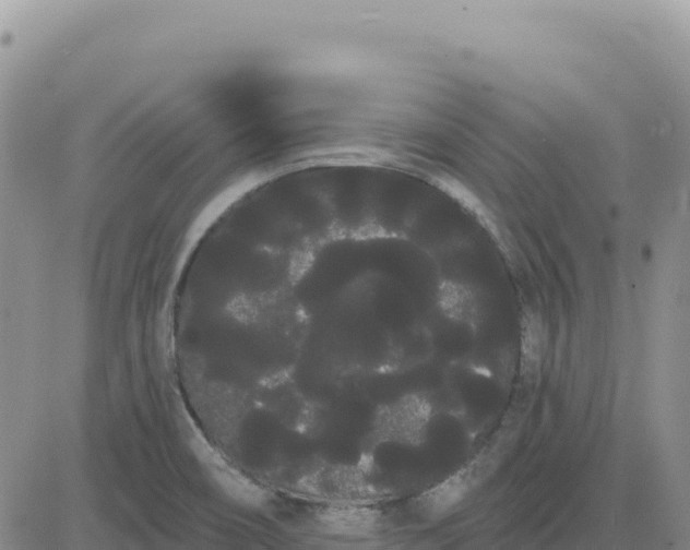 X0000080671466200612301348