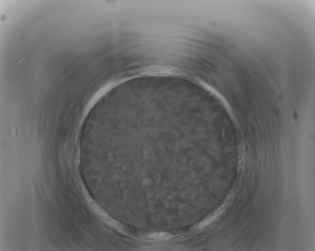 X0000080671467200612301348