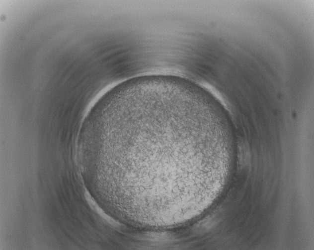 X0000080671468200612301348