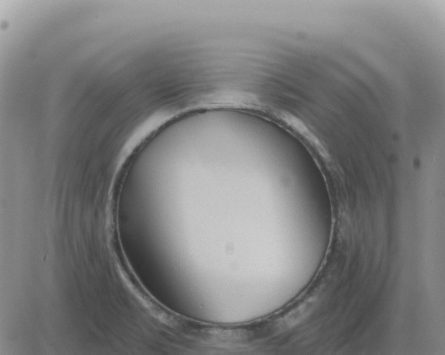 X0000080671469200612301348