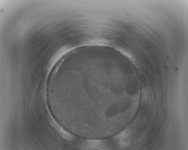 X0000080671470200612301348