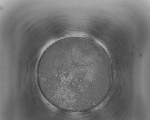 X0000080671471200612301348