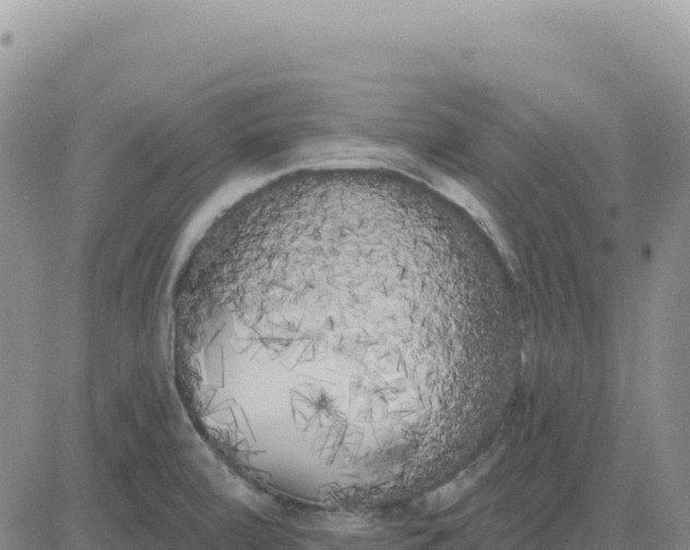 X0000080671472200612301348