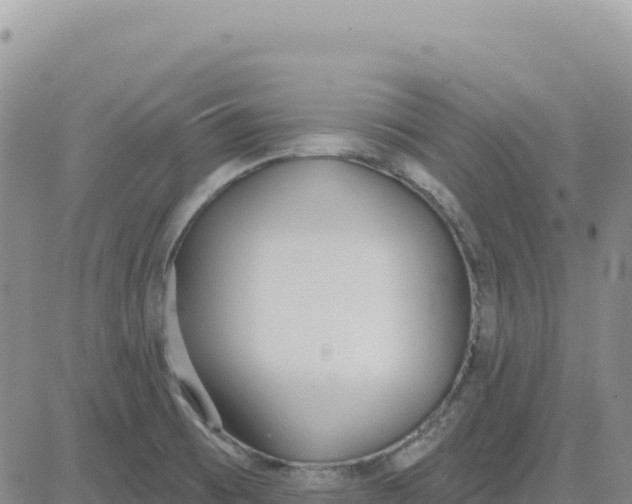 X0000080671473200612301348