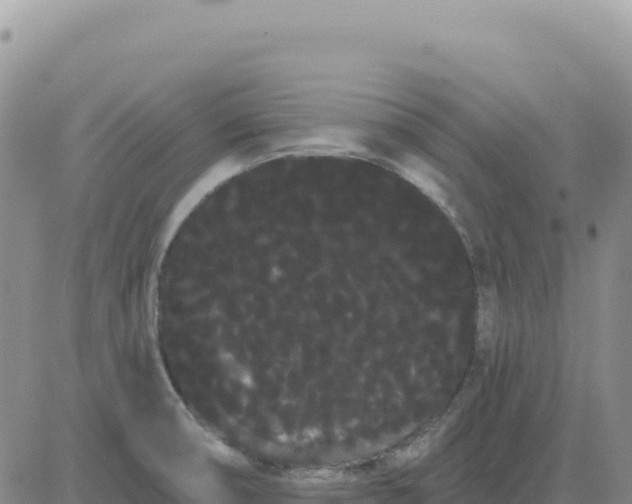 X0000080671474200612301348