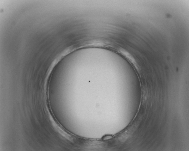 X0000080671475200612301348