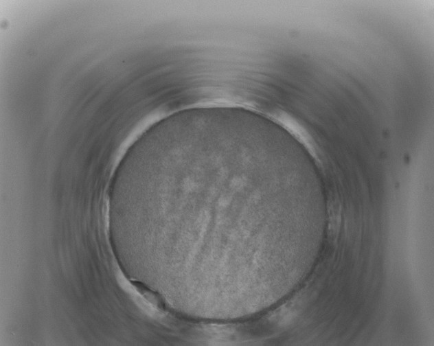 X0000080671476200612301348