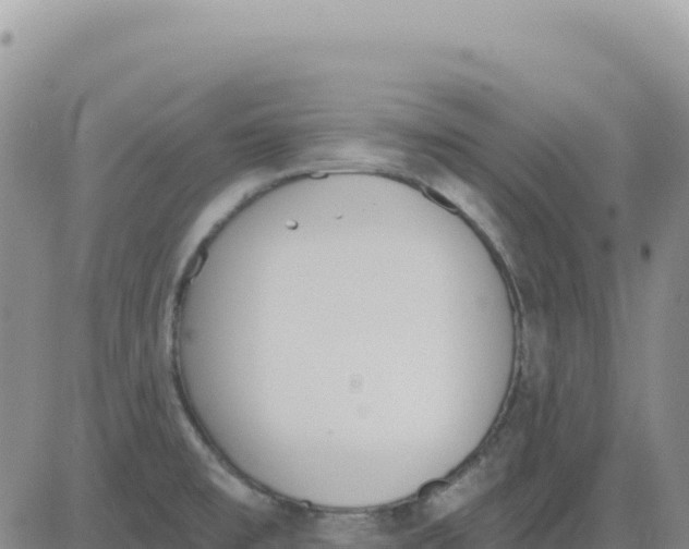 X0000080671477200612301348