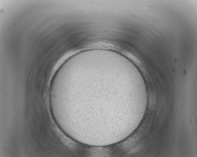 X0000080671478200612301348