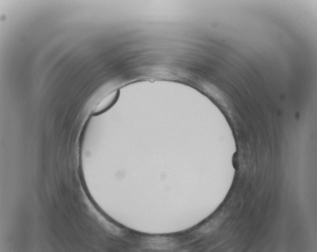 X0000080671479200612301348