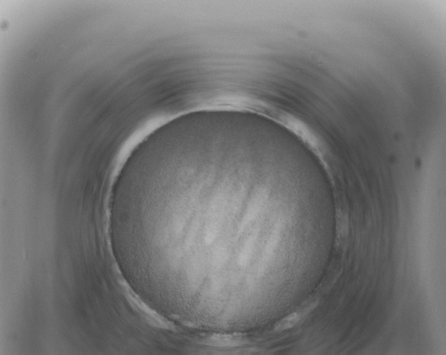 X0000080671480200612301348