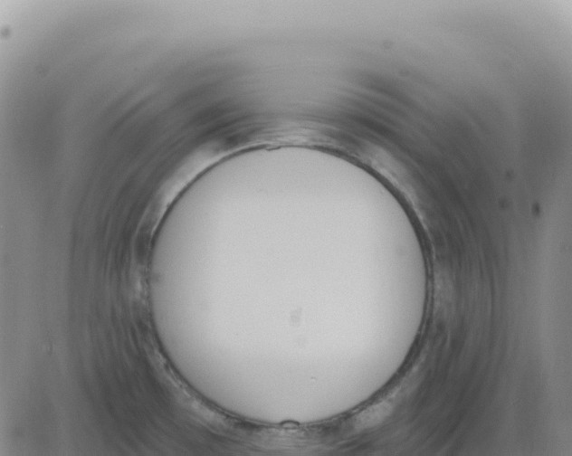 X0000080671481200612301348