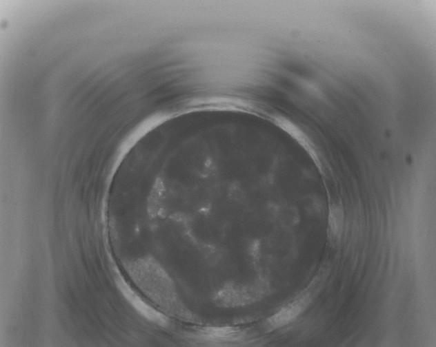 X0000080671482200612301348