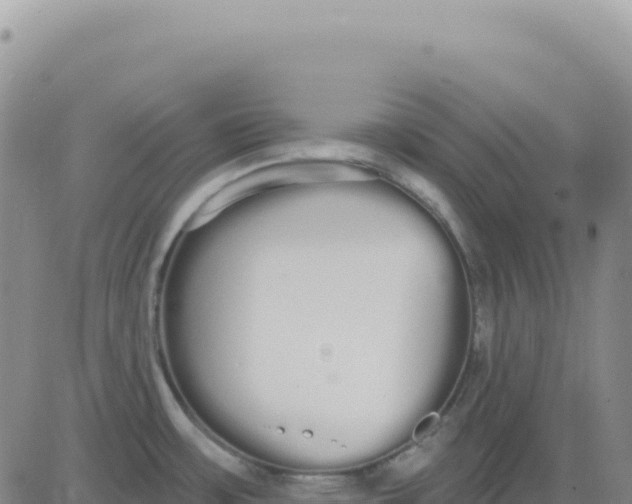 X0000080671483200612301348