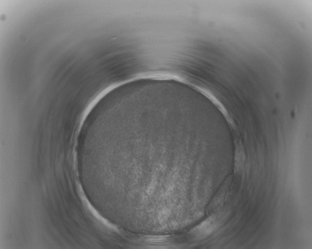 X0000080671484200612301348