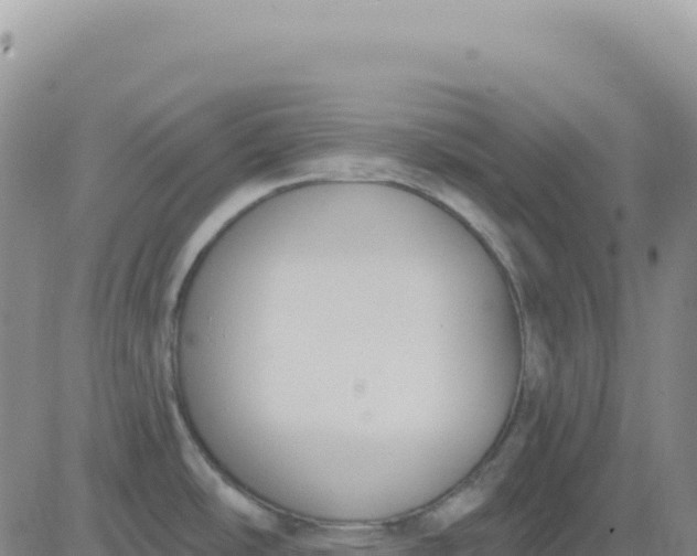 X0000080671486200612301347