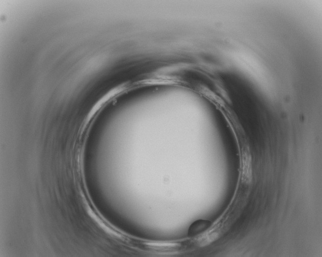 X0000080671487200612301347