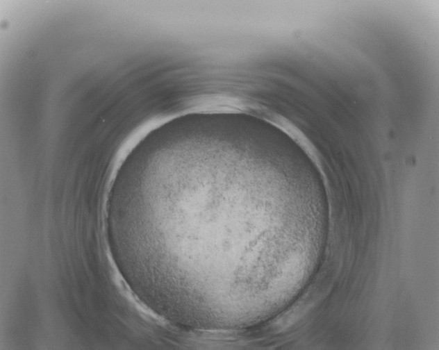 X0000080671488200612301347