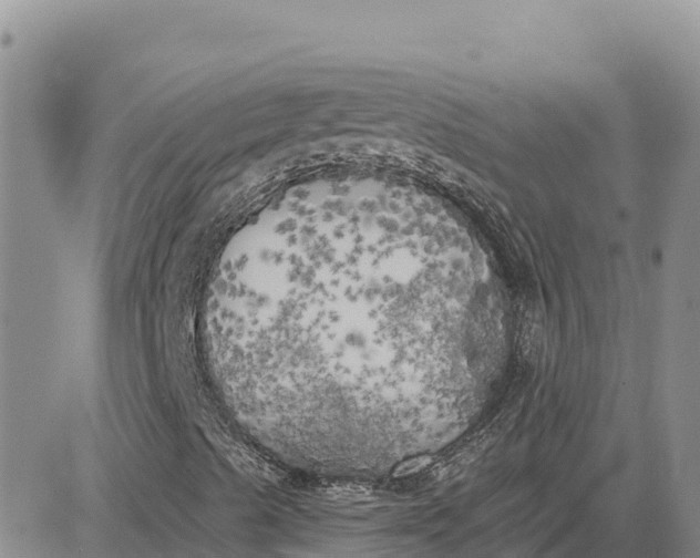 X0000080671489200612301347