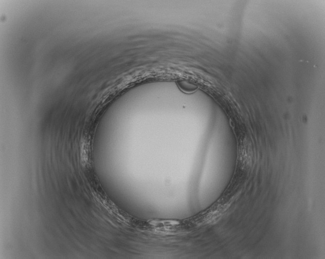 X0000080671490200612301347