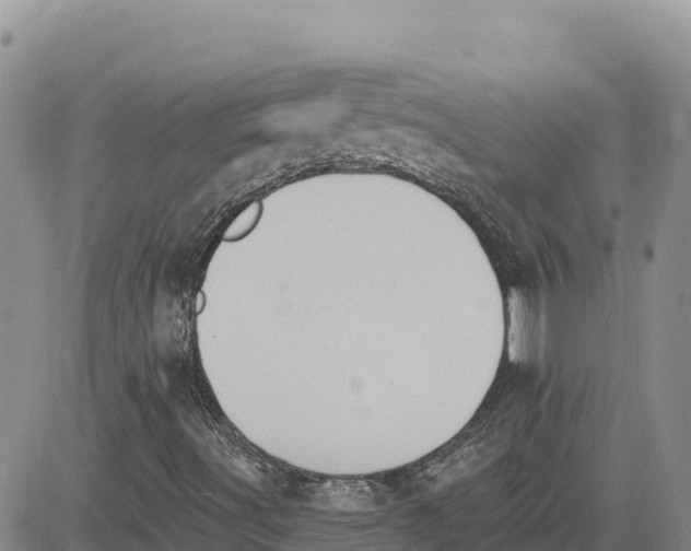 X0000080671491200612301347