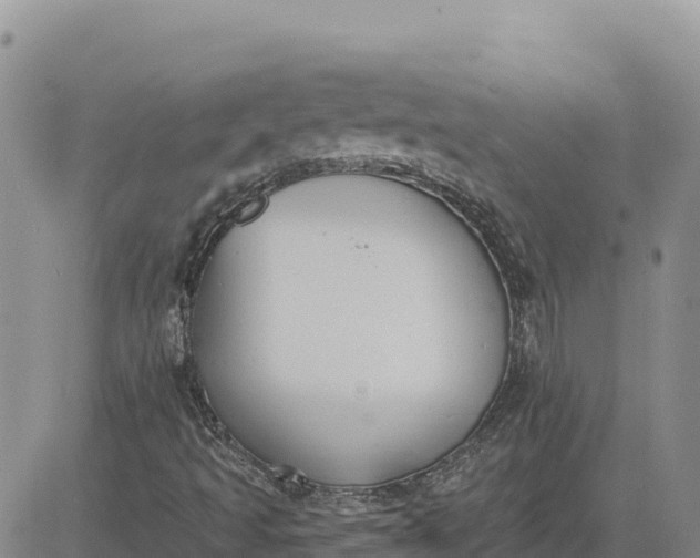 X0000080671493200612301347