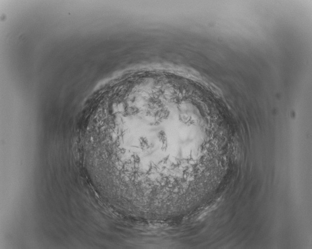 X0000080671494200612301347