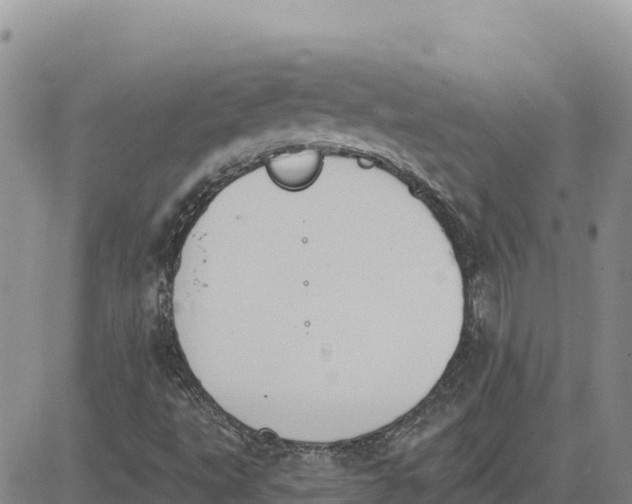 X0000080671495200612301347