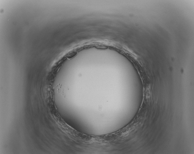 X0000080671496200612301347