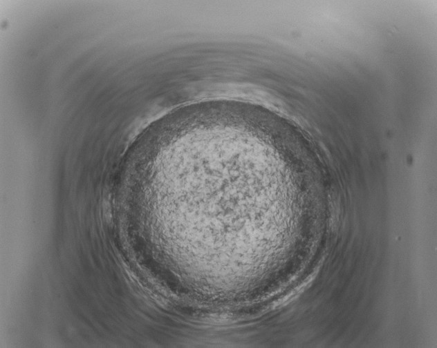 X0000080671497200612301347